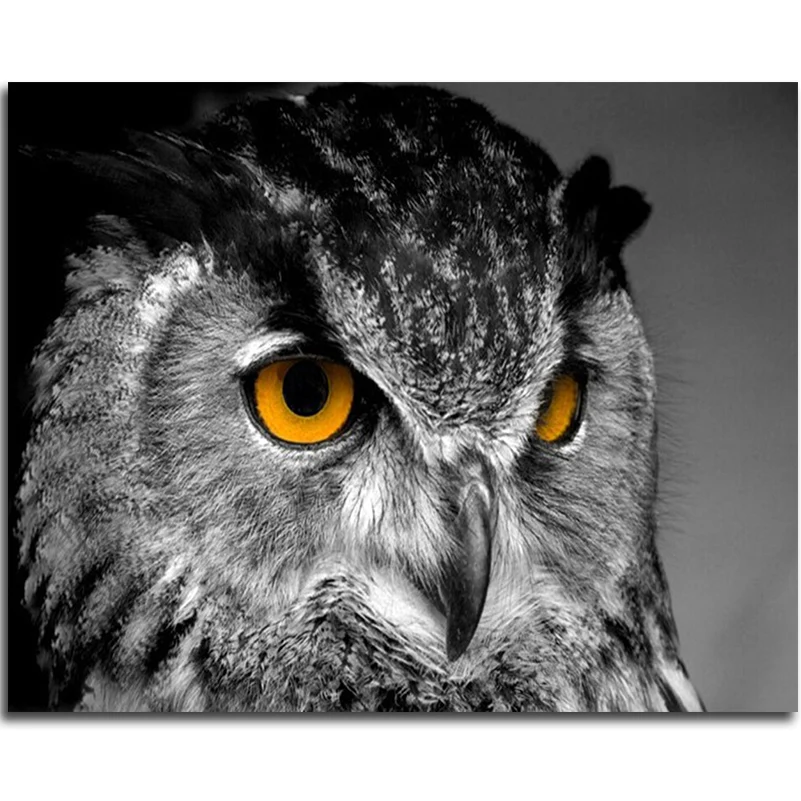 Алмазная поделка Картина Вышивка крестом животные бриллианты вышивка Сова для