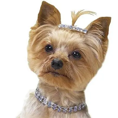 Симпатичные ошейники для домашних питомцев ошейники-Чокеры чихуахуа ожерелье с