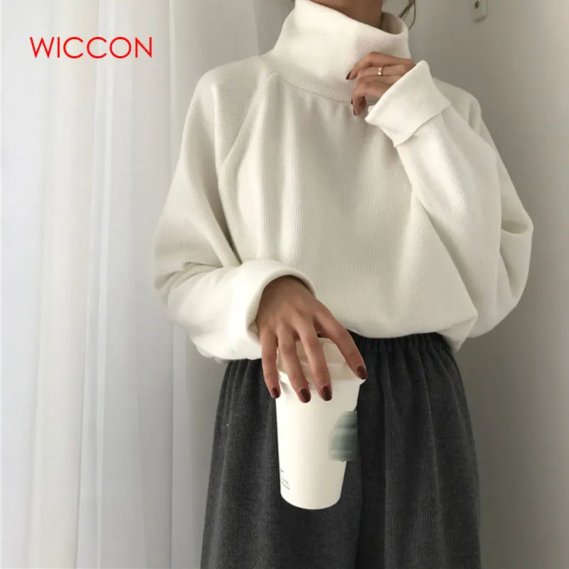 Women Sweater Casual Loose Turtleneck Knitted Jumpers 2020 Long Batwing Sleeve Crocheted Pullovers Winter Basic Tops | Женская одежда