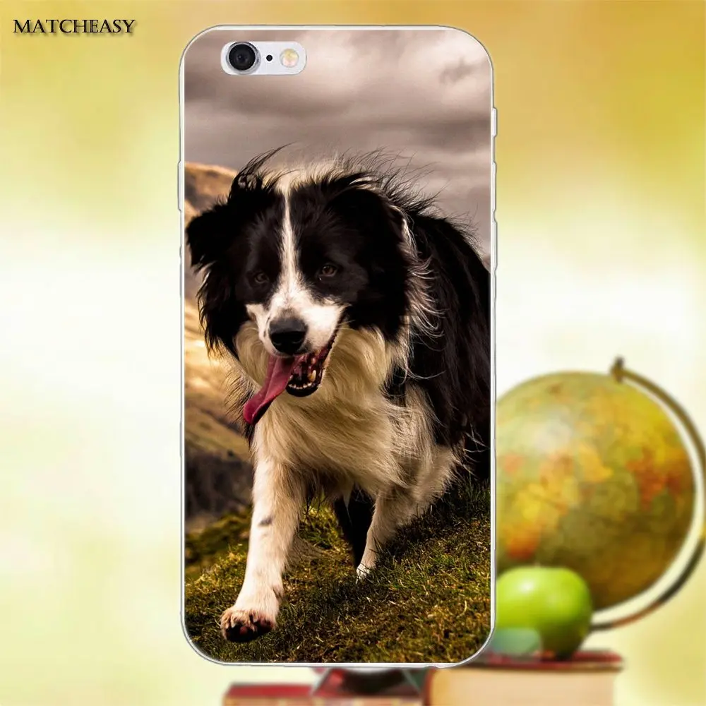 Красивый Border Collie Puppy Dog для Apple iPhone X XS Max XR 4 4S 5 5C SE 6 6S 7 8 Plus мягкий модный мобильный