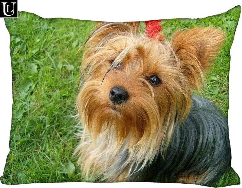 

Custom Yorkshire Terrier Rectangle Pillowcase zipper Classic Pillow Case DIY Pillow Case With Your Picture 20x30inch