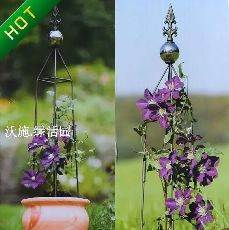 Hoya wire lotus pillar Climbing frame assembly/flower wearing two sets of glass ball