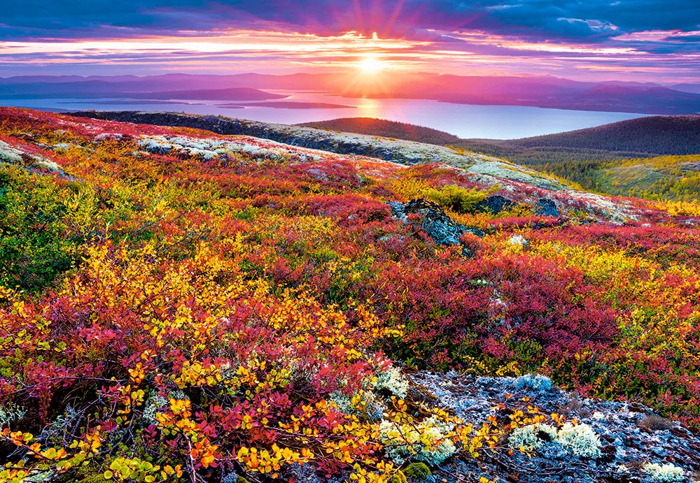 14/16/8/27/28 природа деревянный дом долина декорации искусство рукоделие 14CT холст без