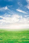 Laeacco голубое небо облачный зеленый луг Природный Живописный фон для фотосъемки фотографический фон для фотостудии