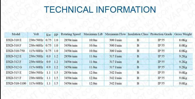 DXD 312E 0.90kW 1.2HP водяной насос для гидромассажной ванны | спа джакузи бассейн