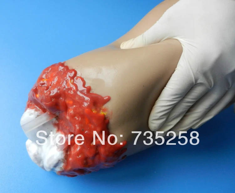 Модель для тренировки при травмах низких экстремальных Гемостатическая модель