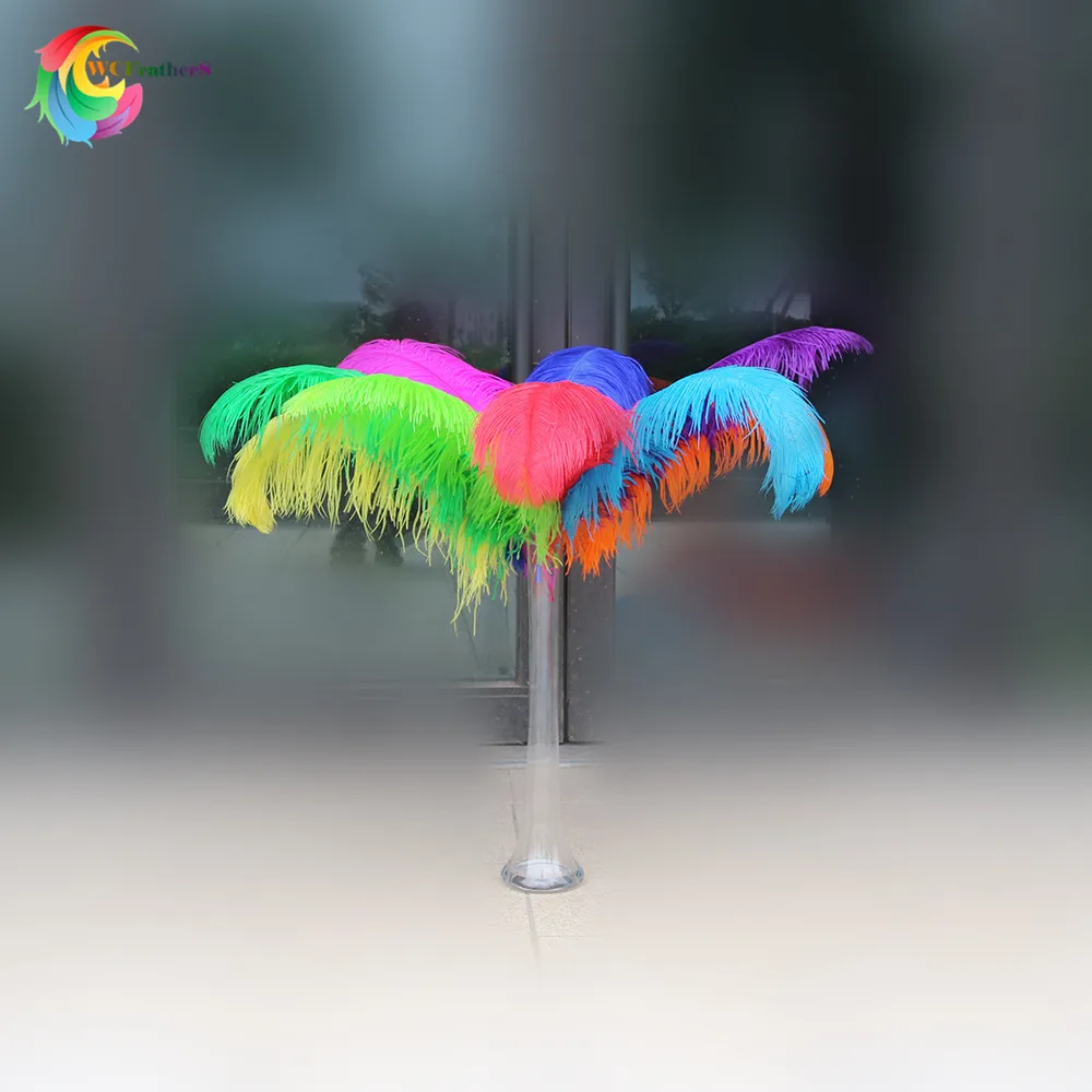 mix color 10 шт./лот, высокое качество, цветные страусиные перья, 60-65 см/24-26 дюймов, свадебные, вечерние, карнавальные украшения - Цвет: mix color