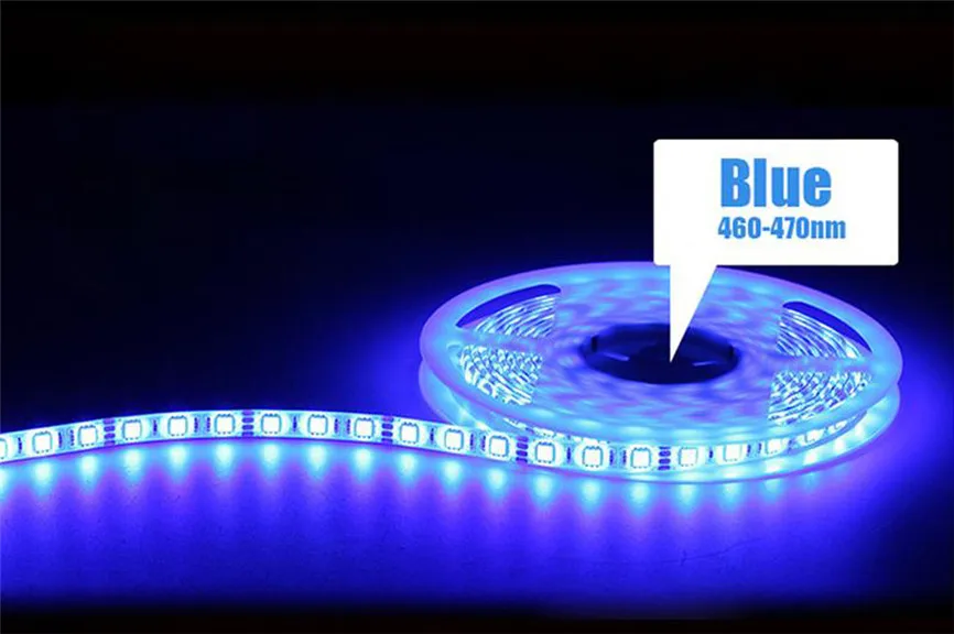 10 м RGB 5050 Водонепроницаемый Светодиодные ленты светильник 300 SMD 24 пульта дистанционного управления AC/DC 12V 5A Мощность US/UK/AU Oct#1