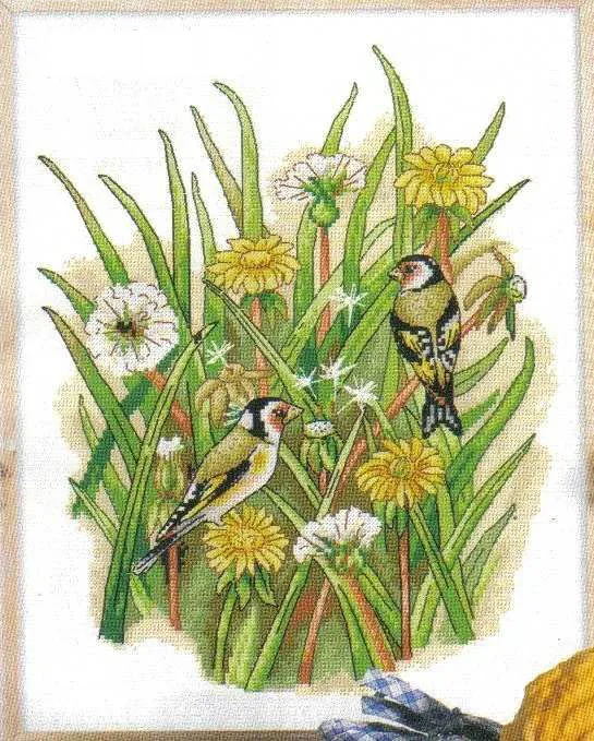 

Needlework,DIY Cross Stitch,Sets For Embroidery kits,11CT&14CT&16CT,bird