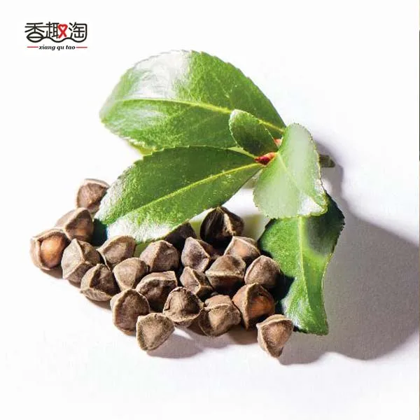 Сохраненные сушеные натуральные растения moringa для дома интересные DIY украшения