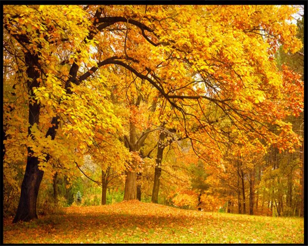 3D обои для гостиной диван с золотой авеню ТВ декоративные стен 3 d фотообои|painting