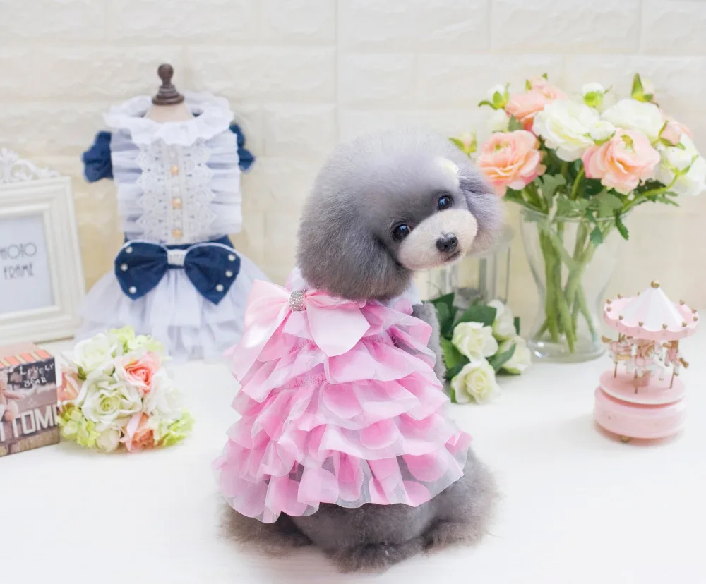 Новейшее платье для собак в Корейском стиле щенка чихуахуа плюшевый пудель