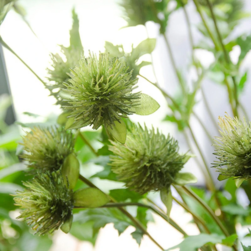 Искусственный трехцветный цветок имитация петрушки сельдерея искусственные