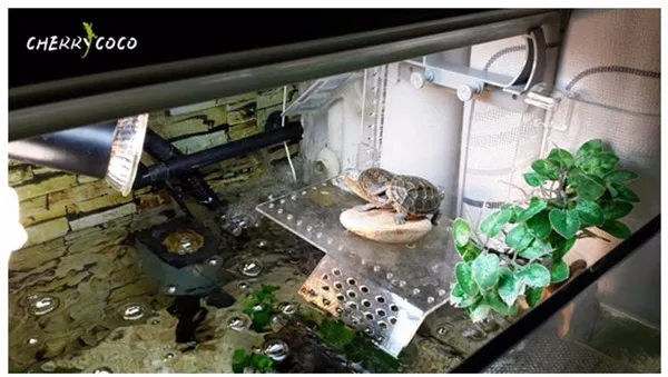 Черепаха ПИР Топпер Basking платформа ступени посадка островок для аквариума arcylic