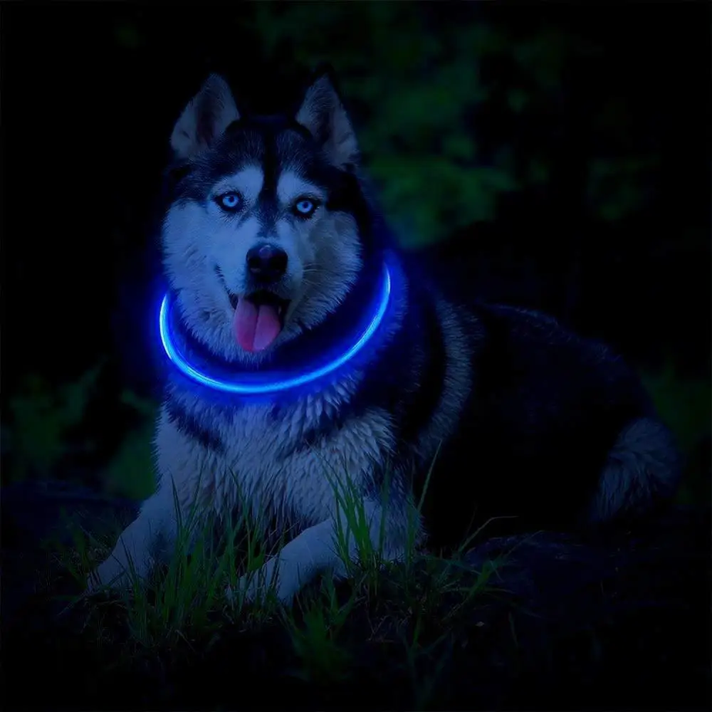blue Светодиодный светильник, ошейник для собак, заряжаемый от USB, светящиеся ошейники для собак, светящиеся ошейники для домашних животных с ночной зарядкой, ошейники для маленьких, средних и больших собак - Цвет: blue
