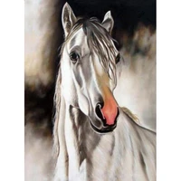 pure hand painted oil painting on canvas white horse close up animal decorative wall pictures home decor no frame