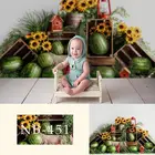 Фон для фотографирования новорожденных с изображением арбуза подсолнуха