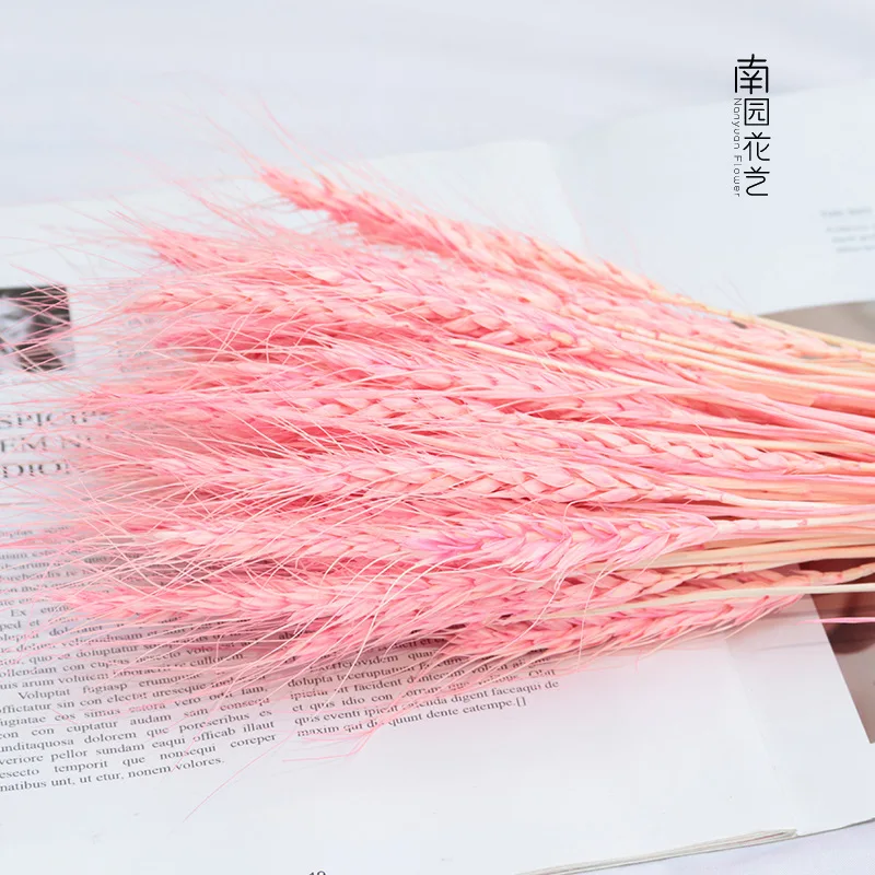 25Pcs/lot Real Wheat Ear Flower Natural Dried Flowers for Wedding Party Decoration DIY Craft Scrapbook Home Decor Bouquet | Дом и сад
