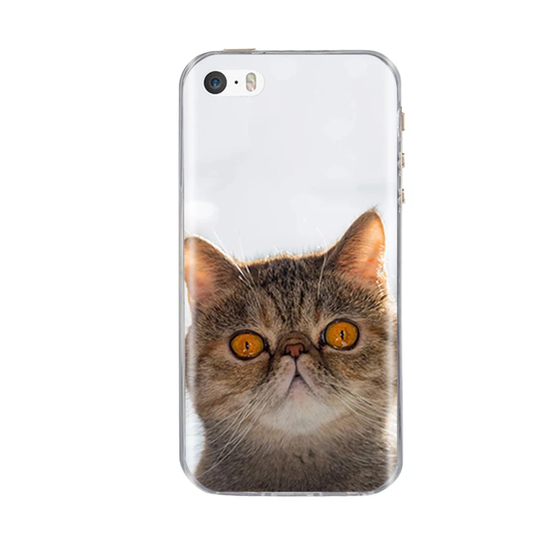 Phone Case For iPhone 5S Cover Soft Silicon Shell 5 5s 6 6s 7 8 x Cute Apple SE X Cases | Мобильные телефоны и аксессуары