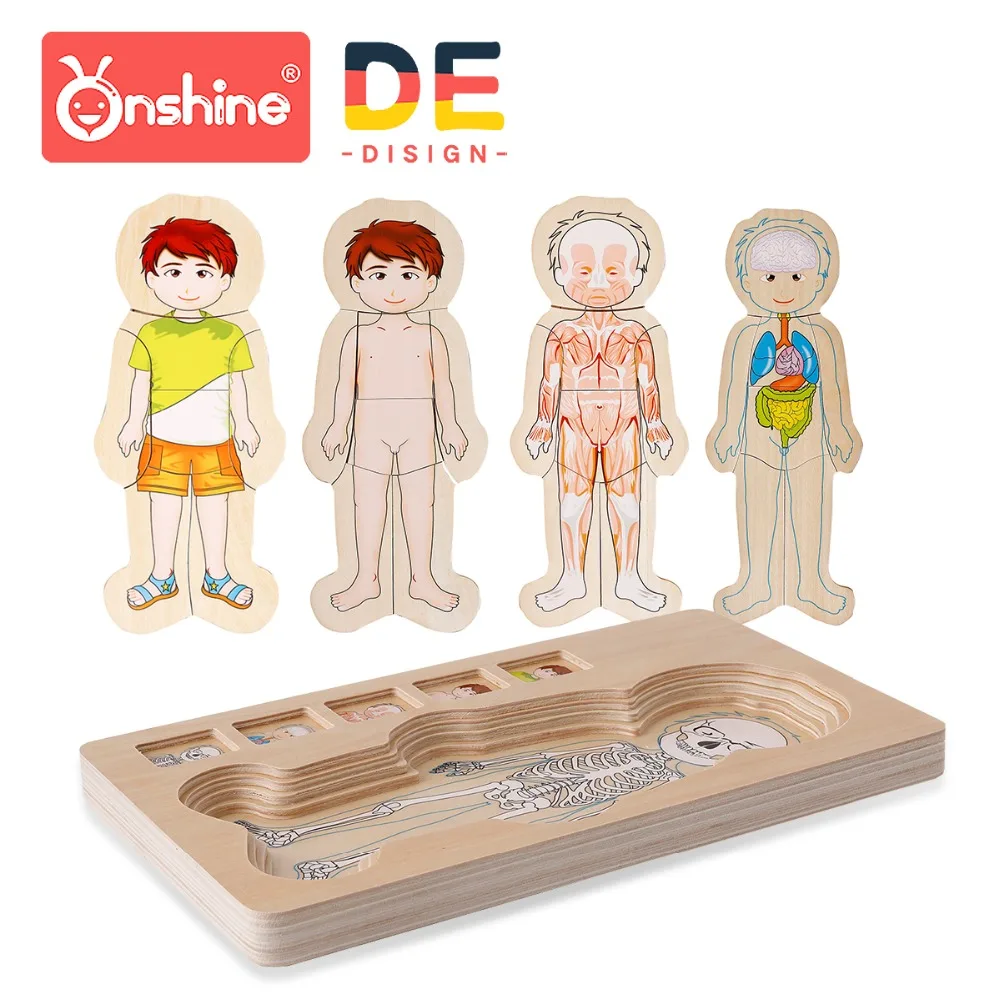 Ohshine Деревянные игрушки 3d Головоломка Развивающие для детей блеск дерево