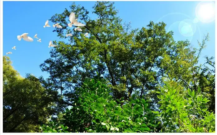 3d обои с изображением дерева голубого неба белого потолка комнат пейзаж потолки