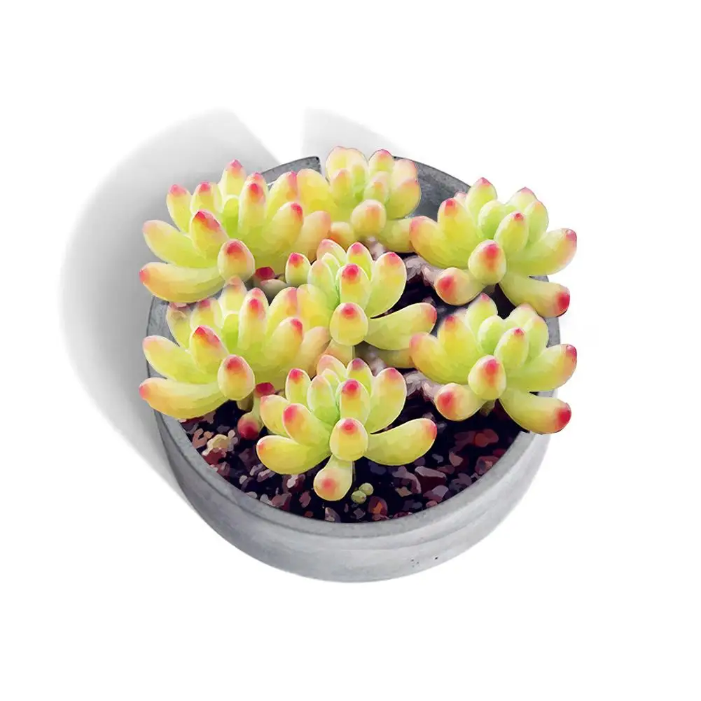 Силиконовая форма круглая лестница ручной работы бетонная бонсай цементная ваза