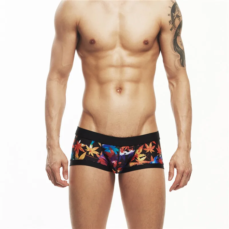 2017 новые мужские шорты для плавания плавки треугольные серфинга купальные