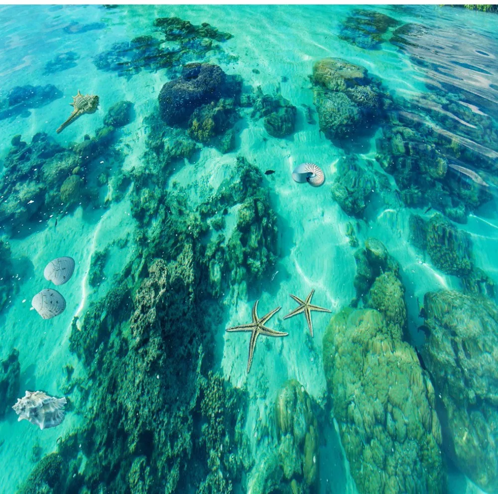 

Free Shipping Seashells Toilet Seats Bathroom restaurant shopping mall aisle hallway waterproof floor wallpaper mural