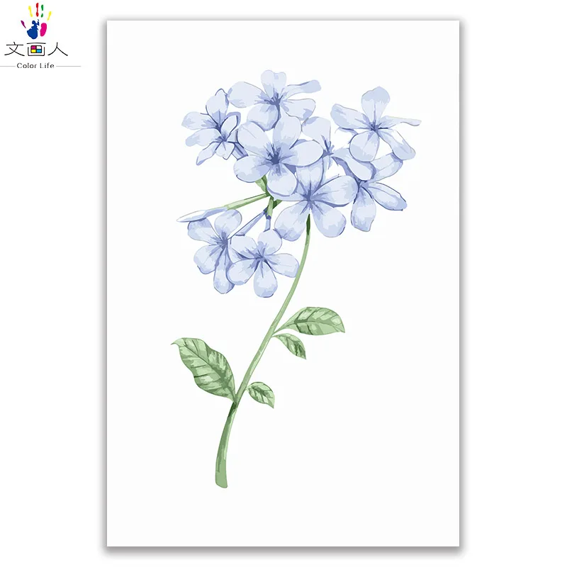 Противоударная заданяя картина маслом картины по номерам цветы холст раскраски