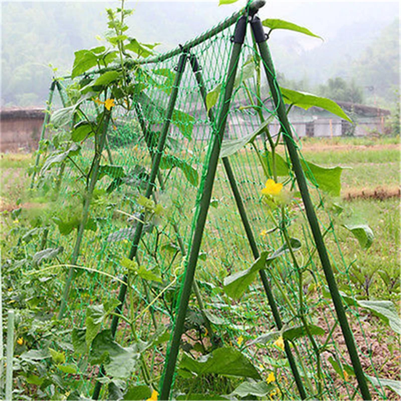 1 8x1 8 м сетка для выращивания бобов садовая зеленая нейлоновая плетения | Дом и сад