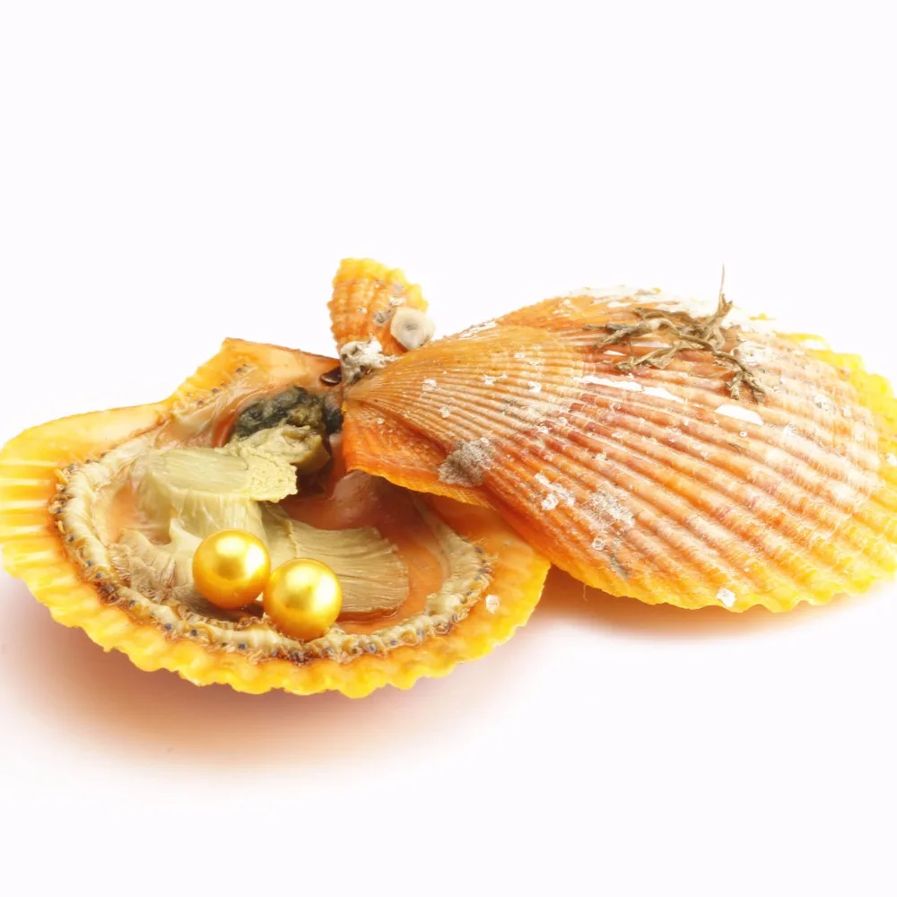 10 шт. 6 8 мм двойной круглый жемчуг Одинаковые цвета в фестоне akoya красные oysters