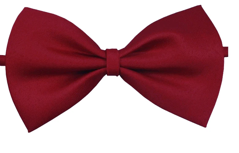 Warm Red Милые домашние животные,, модная Милая собачка, щенок, кошка, котенок, игрушка для домашних животных, детский однотонный галстук-бабочка, галстук, одежда для мальчиков, детей, девочек, свадьба - Цвет: Warm Red