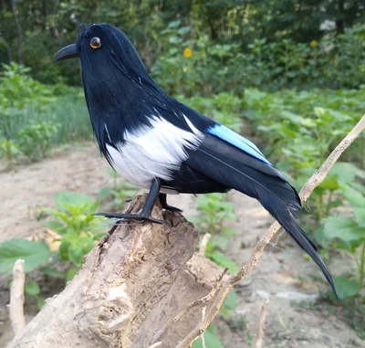 

about 12cm feathers magpie bird 12cm artificial bird handicraft,prop,home garden decoration gift p2748
