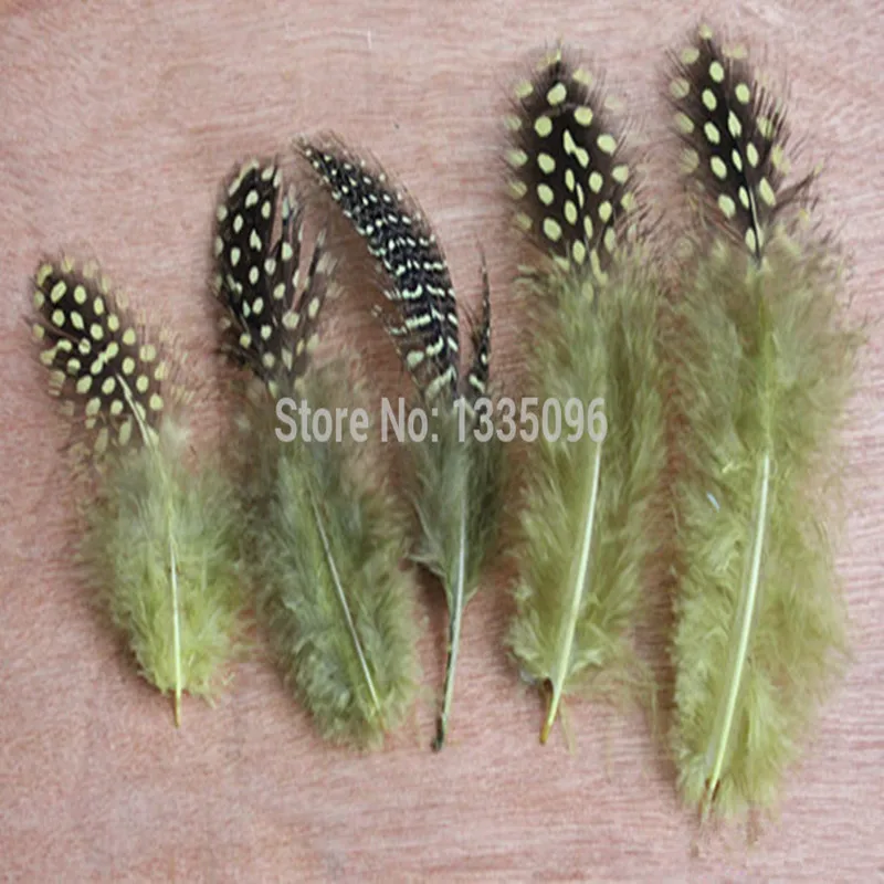 Бесплатная доставка! 100 шт./лот Дешевые Розничные перья фазана цесарки 6 12 см
