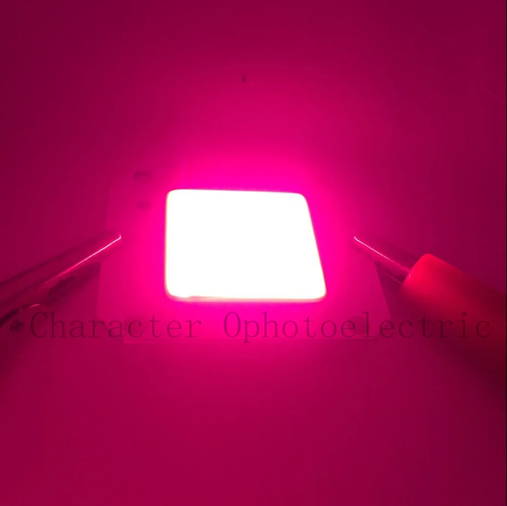5 шт. DC 12V 50W COB LED полный спектр 400 840nm Высокая Powe Grow Light для гидропоники 46X40MM|led full spectrum
