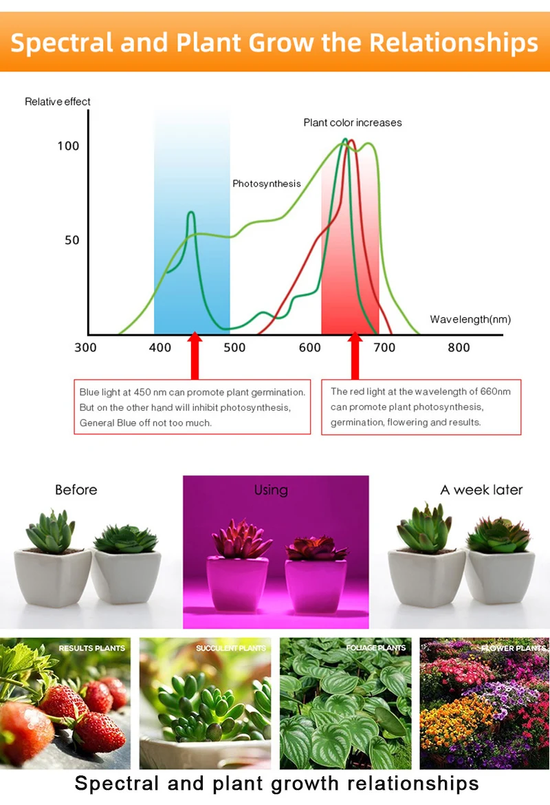 Kaguyahime 3~15W LED Grow Light E27 110V 220V LED Growth Bulb Lamp Full Spectrum 3W 4W 9W Indoor Plant Lighting UV Hydroponics