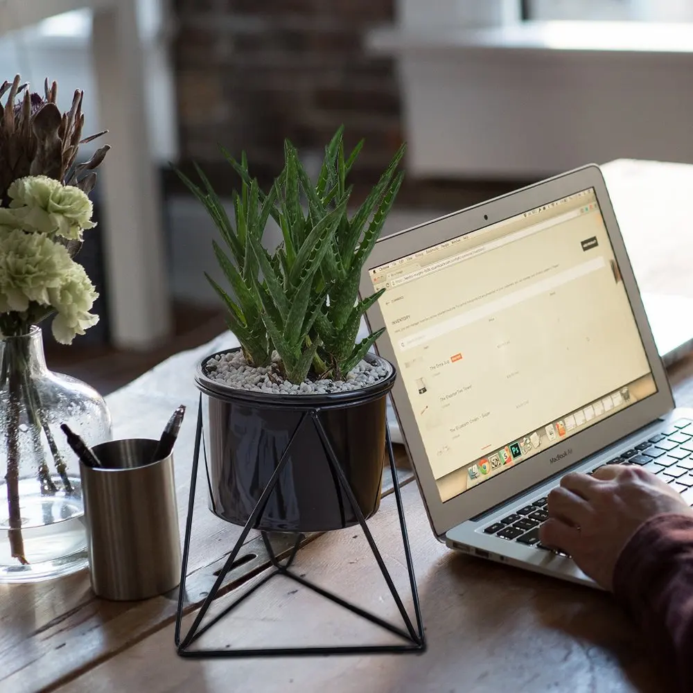 Маленькие белые керамические горшки для растений суккуленты с геометрическим