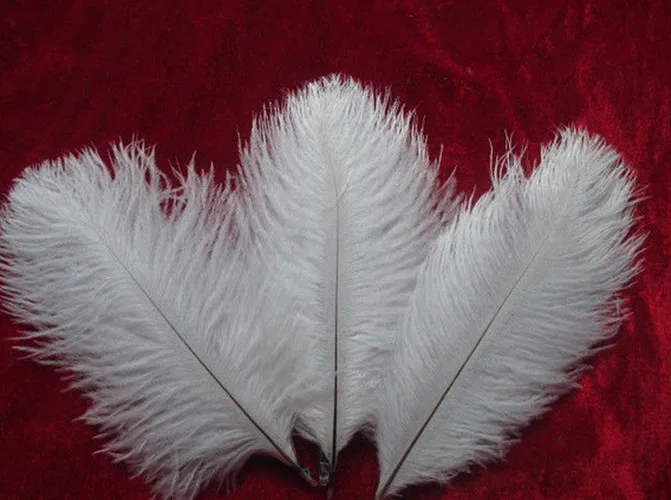10 шт. белые страусиные перья 6 8 дюймов/15 20 см|feathers for decoration|white ostrich feathersdecorative feathers |