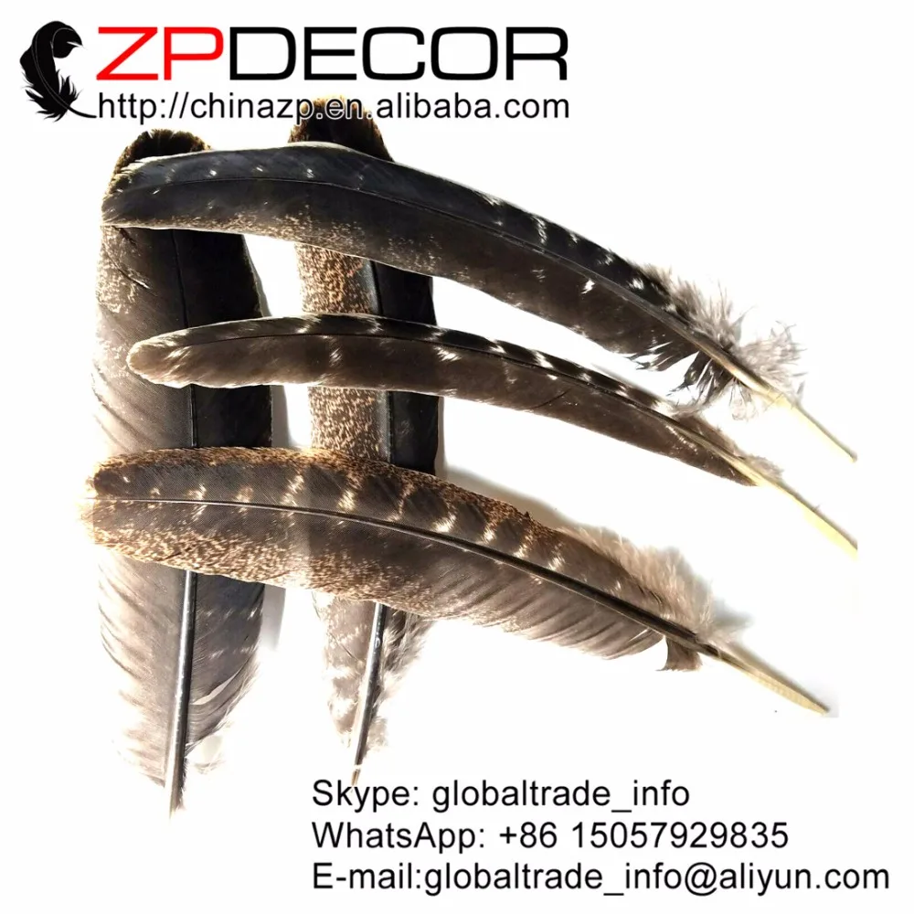 

ZPDECOR 25-28cm(10-12inch) 50pieces/lot Wholesale Original Natural Beautiful Wild Turkey Wing Feather for DIY Decoration