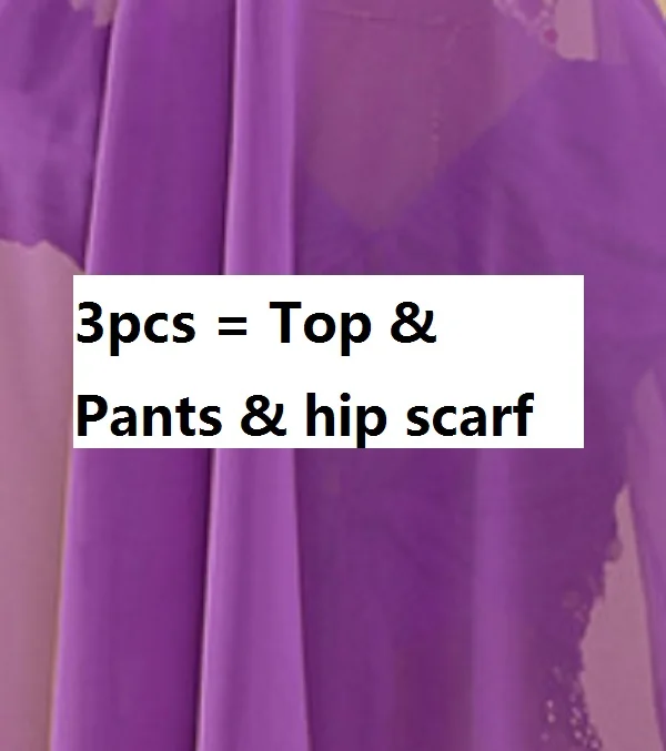 purple3pcs Женские индийские сари, одежда для танца живота, цены для взрослых, синие платья для выступлений, восточные костюмы, женский костюм для танцев - Цвет: purple3pcs