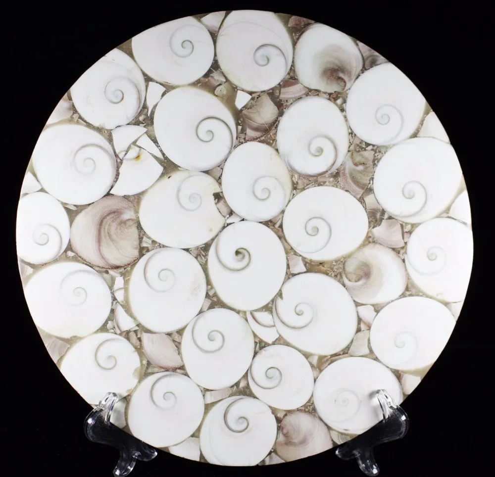 

AAA250-280mm Natural snail fossils are a good choice for your family.