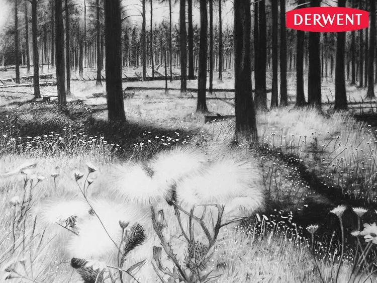 Derwent Профессиональный Железный набор в подарочной коробке художественные карандаши для рисования