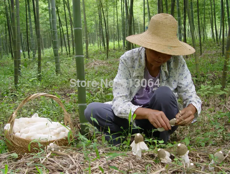 Китайский здоровье и гигиена суп 200 г оптом упаковка сушеный гриб Dictyophora