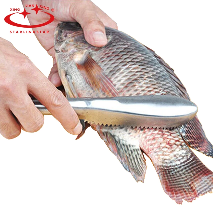 Рыболки чешея почистить Для чистки рыбы кожа кисть рыбалка кулинария