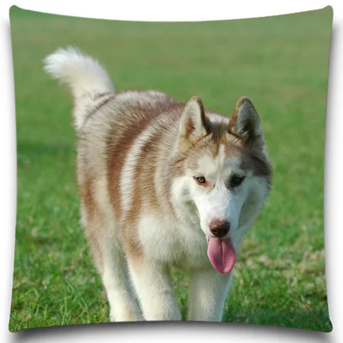 

White Jane's dog Decorative Throw Pillows Case Cotton Polyester for Sofa Car Cotton Cushion Cover Creative Decoration 5 size