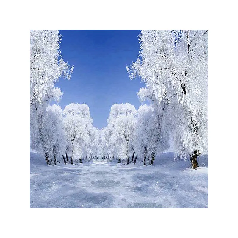 

5x7 Рождественский фон для фотосъемки новорожденный белый снег Ледяной Синий Красный звезда фон для рождевечерние семейная фотобудка рекви...