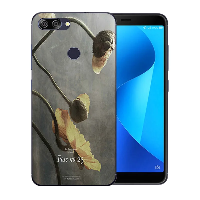 5.7 inch For Asus ZenFone Max Plus M1 ZB570TL Clear Back Cover Blossom Pattern Zenfone Plus(M1) X018DC Slim Case |