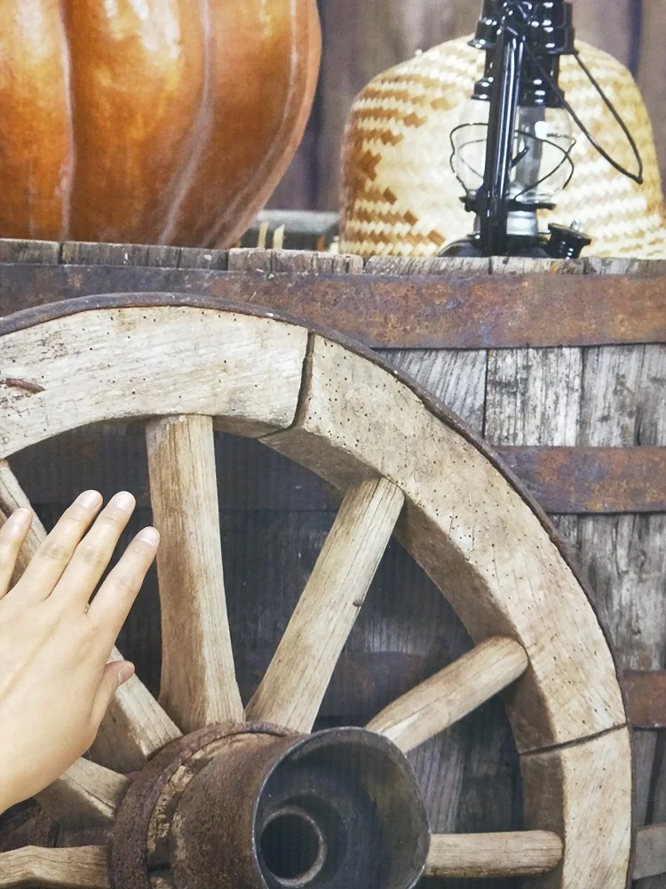 Осенние деревенские фермы тыквы колеса стога сена фотографии виниловые