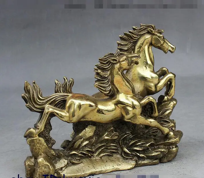 Народные Китайский Фэншуй Латунь Перспективе Успех Зодиака 2 Перейти Дикая