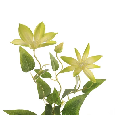 Erxiaobao Clematis Искусственные цветы Шелковый Искусственный цветок аксессуары для цветоводства декор для домашнего стола вечерние свадебные цветы - Цвет: Green